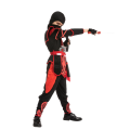 Ninja Czerwony 2.png