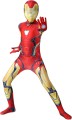 iron1.jpg