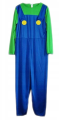 Luigi strój.png